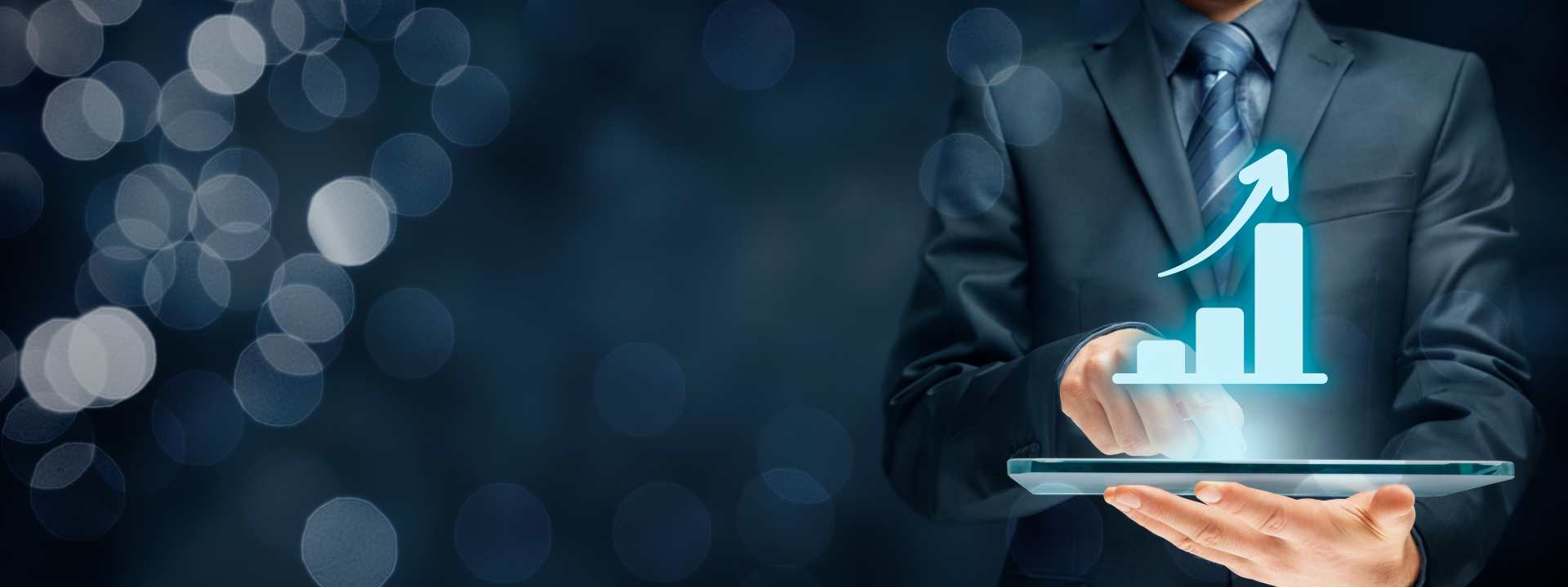 The Polish and European ERP Software Markets